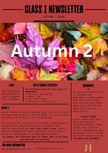 Autumn 2 Newsletter 2024